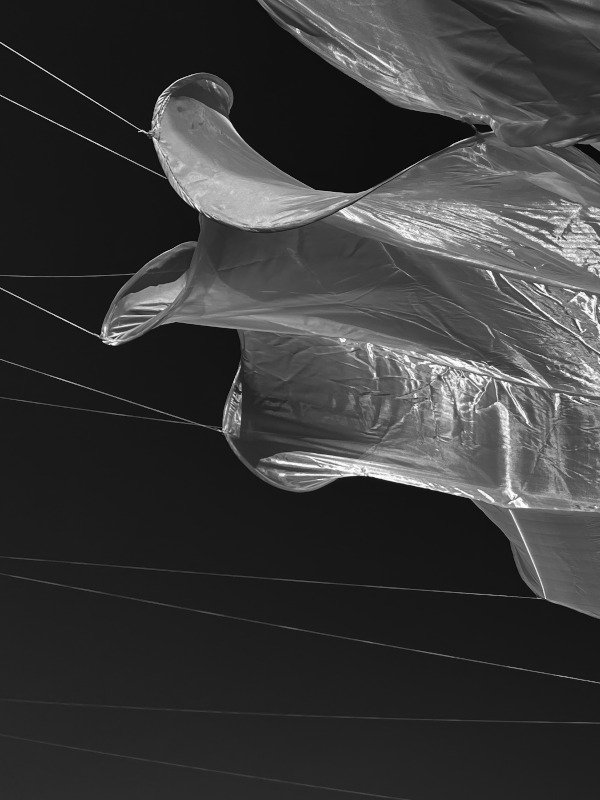 Vanishing_BW_web.jpeg